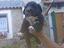 Immagine 2