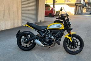 Ducati scrambler icon 800