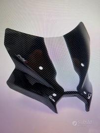 Cupolino MT09 2024
