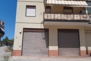 FALL 9/2020 Trib Patti - LOTTO 2