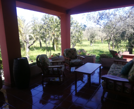 Casa indipendente