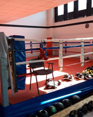 RING box / muay thai 6X6 base metallo, basso