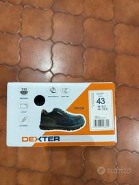Scarpe antinfortunistiche DEXTER n.43