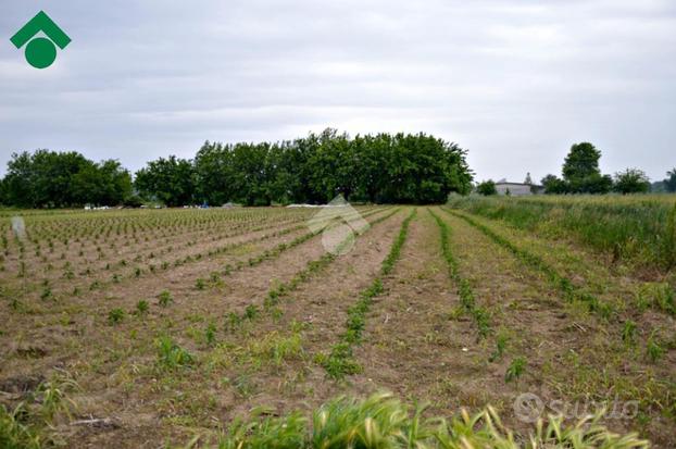 TER. AGRICOLO A LENO