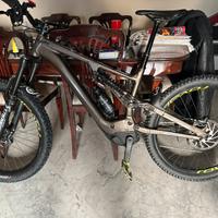 Specialized kenevo