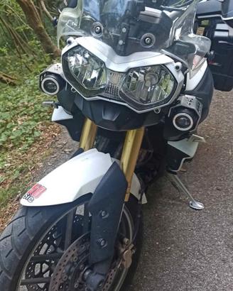  Triumph Tiger 800 abs