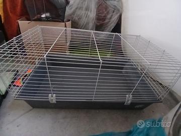 gabbia per coniglio nano/porcellino d'india