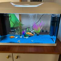 Acquario 60 L