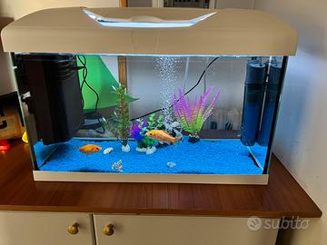 Acquario 60 L