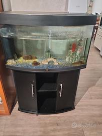 mobile con acquario 