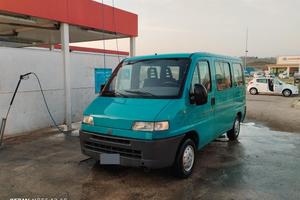 ducato panorama 9 posti 