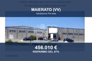 Immobile in asta di 4133 m² a Maierato