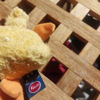 peluches pulcino giallo trudy