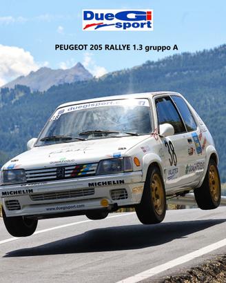 PEUGEOT 205 RALLY GR.A  J2