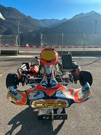 Crg Road Rebel Kz con motore Tm KZ10 PRONTO PISTA!