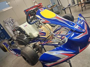 Go kart rotax dd2