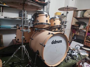 batteria ddrum diatribe betulla 