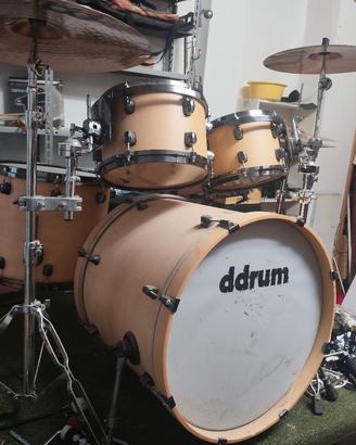 batteria ddrum diatribe betulla 