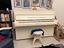 Immagine 4