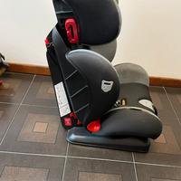 Segiolino giordani .