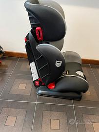 Segiolino giordani .