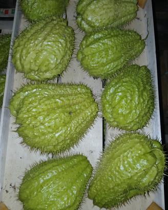 zucchine spinose o chayote
