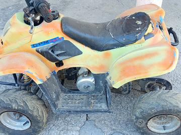 quad 110 