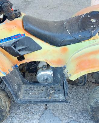 quad 110 