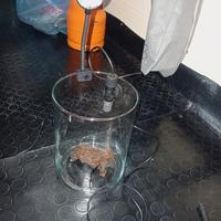 acquario vasca per betta