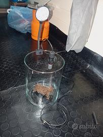 acquario vasca per betta