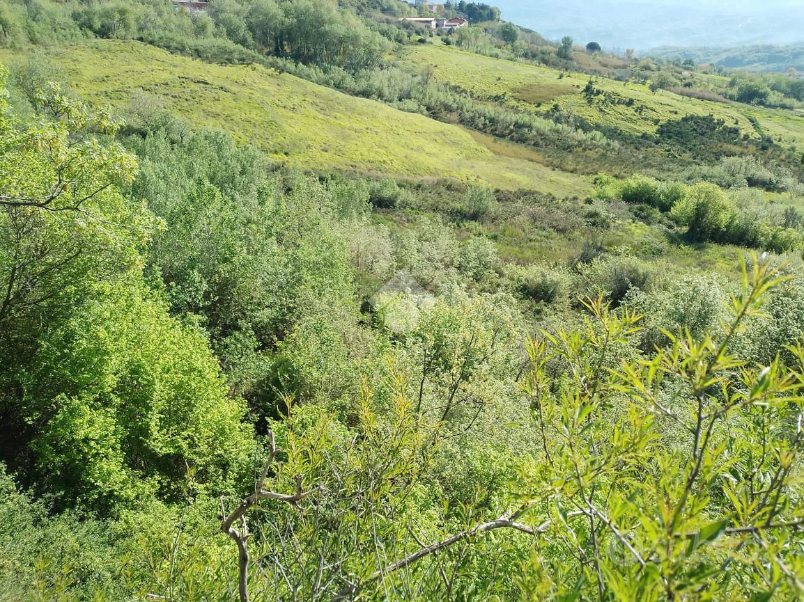 TER. AGRICOLO A CASTROLIBERO - Vista 5
