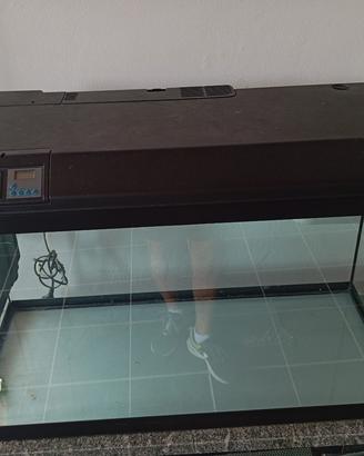 acquario tenerif 88 