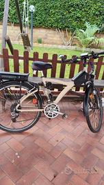 bici elettrica 