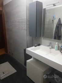 Set mobili bagno moderno grigio bianco