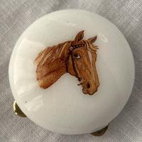 Portapillole Salimbeni argento e smalto a fuoco