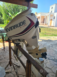 Motore Evinrude E-tec 30cv