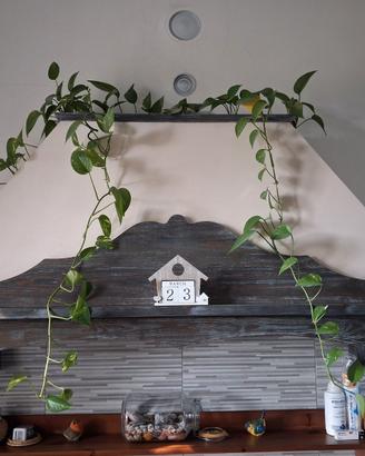 Cappa doppia stile country