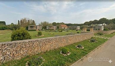 Terreno vicino al mare con piccolo deposito