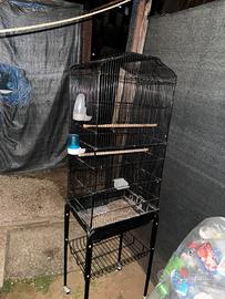 Gabbia per pappagalli