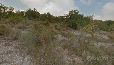 Terreni agricoli Villore Vicchio di Mugello