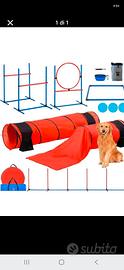Attrezzatura per agility