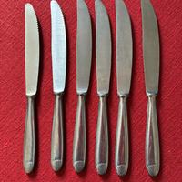 Set 6 Coltelli acciaio