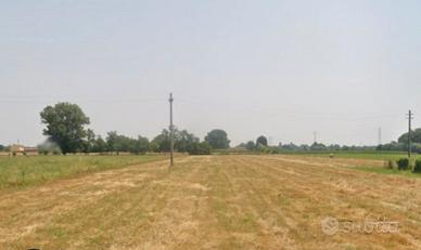 Terreno agricolo