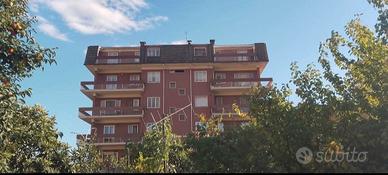 APPARTAMENTO in PRATOLA PELIGNA