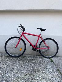 Bicicletta MTB
