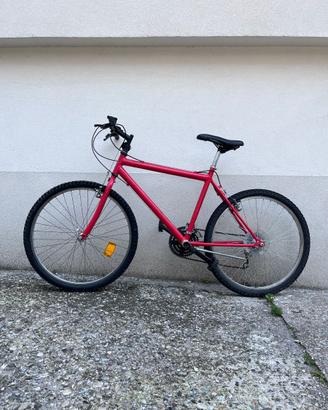 Bicicletta MTB