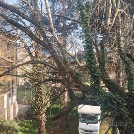 Unità abitative da giugno Luglio agosto settembre