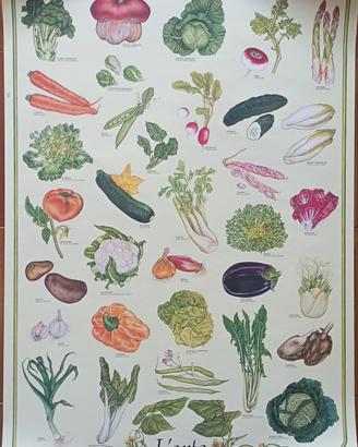 Poster vintage didattico l'orto 68x98