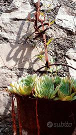Paiolo con catena e piante