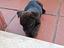 Immagine 3